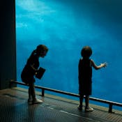 Learning, Knowledge, and Human Development