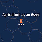 Agriculture as an Asset Class