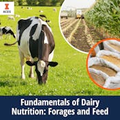 Fundamentals of Dairy Nutrition: Forages and Feed