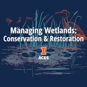 Managing Wetlands: Conservation & Restoration