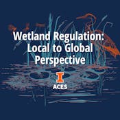 Wetland Regulation: Local to Global Perspective